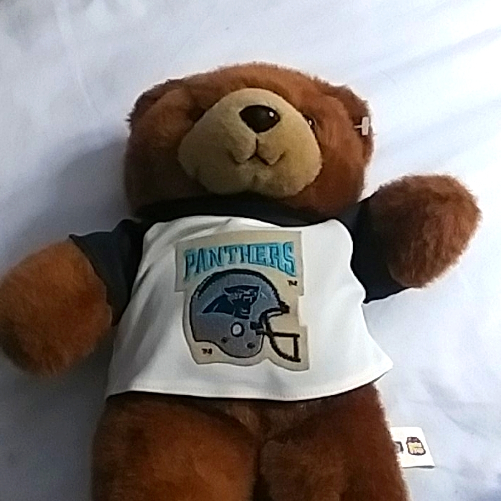 Panthers teddy bear